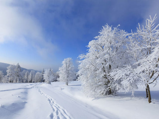 Les meilleurs parfums d’hiver à moins de 50 € (guide 2026)